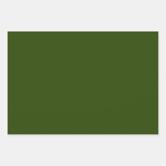 Retro Kerstmis Floral Fantasy Pattern Green Inpakpapier Vel (Voorkant 3)