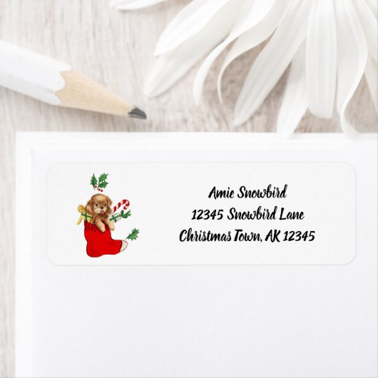 Retro-kerstpup in Red Stocking Etiket (Insitu)