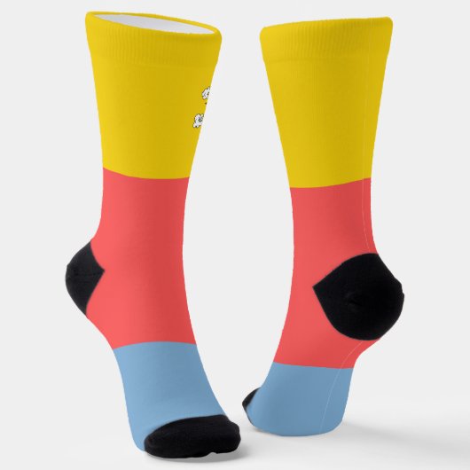  retro kleurenblok Blauw Roze Geel OMG Sokken (Gebogen)