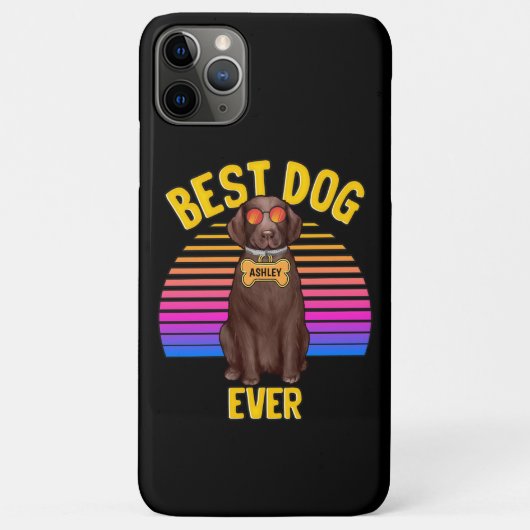 Retro Kleurrijke Grappige Labrador Retriever Beste Case-Mate iPhone Case (Achterkant)