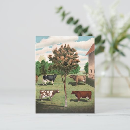 Retro Koeien Briefkaart (Staand voorkant)