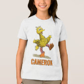 Retro Kunst Grote Vogel Tri-Blend Shirt (Voorkant)