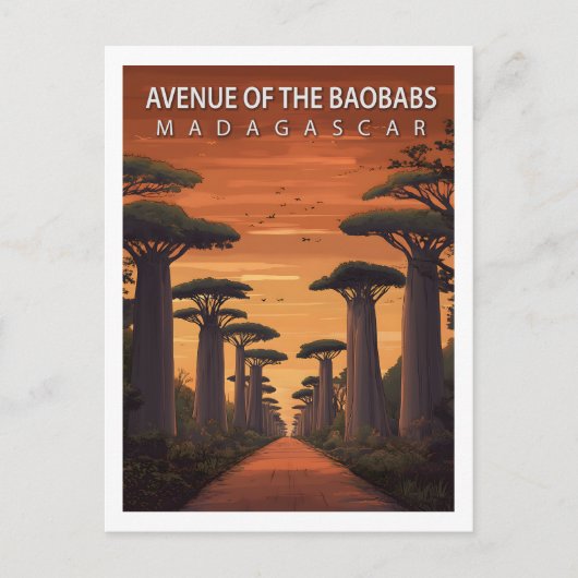 Retro Laan van de Baobabs Madagaskar Natuur Briefkaart (Voorkant)