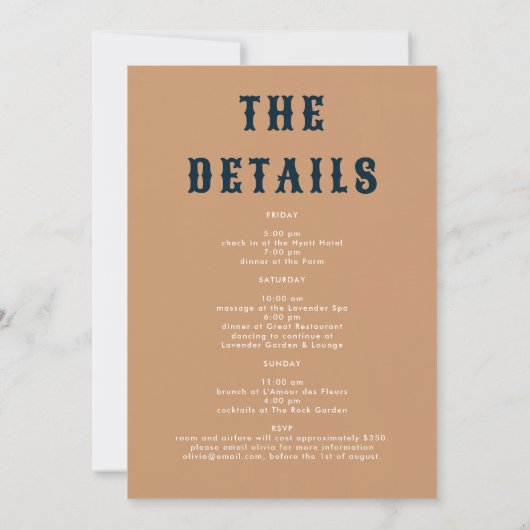 Retro Laatste Rodeo Poster Art Glam Chic Bachelore Kaart (Achterkant)