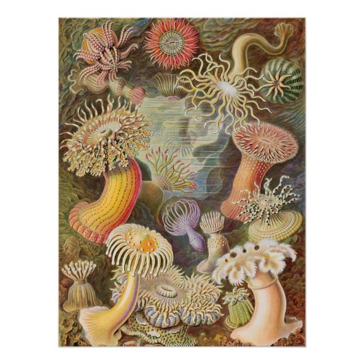 -Retro Magic Mushrooms Perfect Poster (Voorkant)