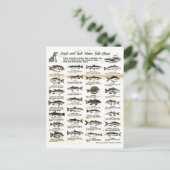 Retro  Mannen Vist Grafiek - Briefkaart (Staand voorkant)