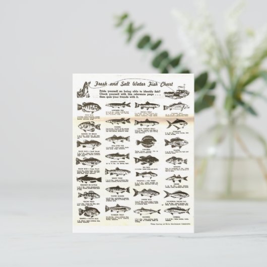 Retro  Mannen Vist Grafiek - Briefkaart (Staand voorkant)