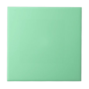 Retro Mint Groen Solid 1950's Kleur  Tegeltje