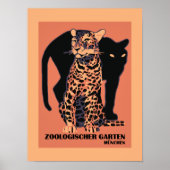 Retro  München Zoo grote katten Poster (Voorkant)