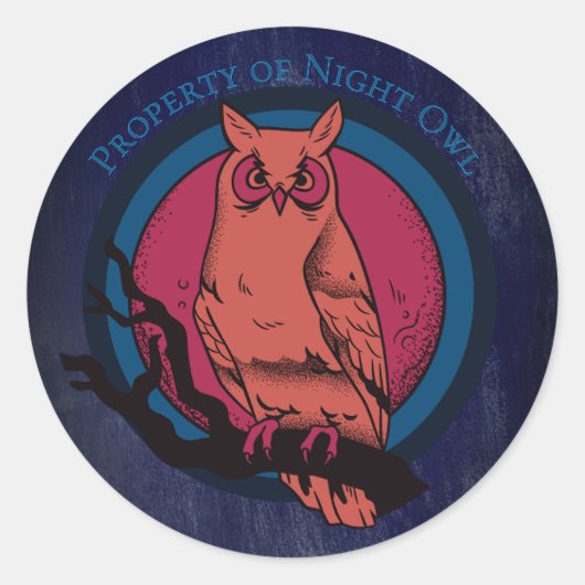 Retro Night Owl & Moon Spectrum Circle Sticker (Voorkant)