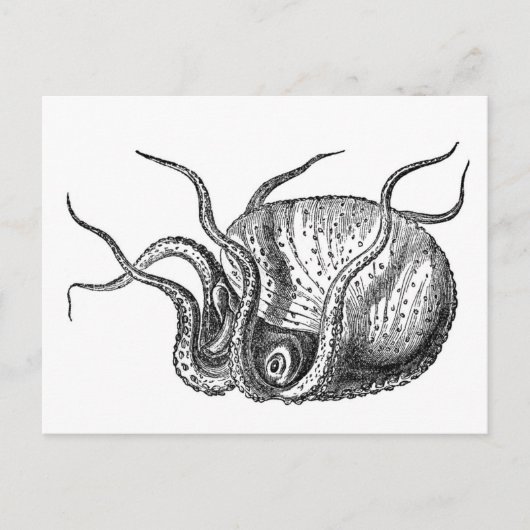 Retro Octopus Briefkaart (Voorkant)