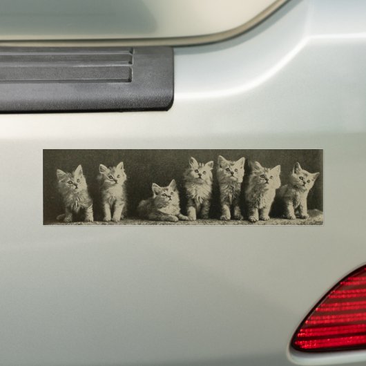  Retro Old Time Kittens Katten Katten Bumpersticker (Op auto)