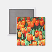 Retro Oranje Tulpen Magneet (Voorkant / Achterkant)