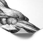 Retro paardenspier anatomie afbeelding poster (Hoek)