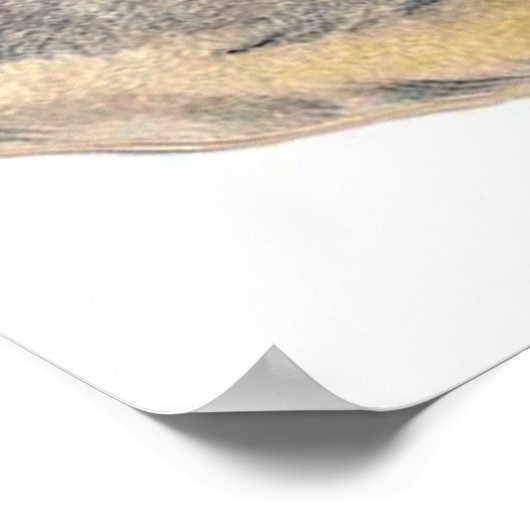 retro  paasbunny decor poster (Hoek)