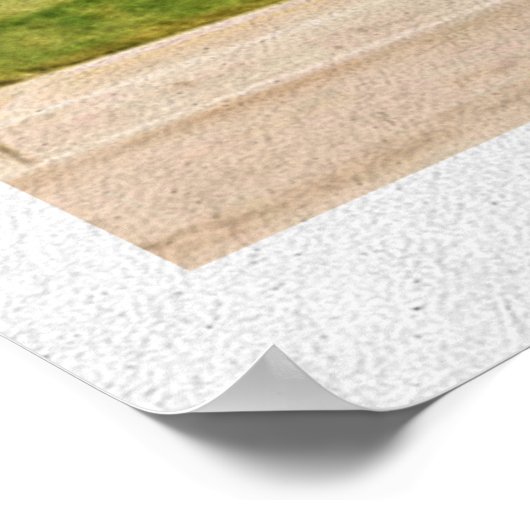 Retro Palmspuitromen Roze deur Poster (Hoek)