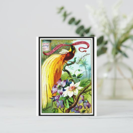 Retro Paradise Bird Postacard Briefkaart (Staand voorkant)