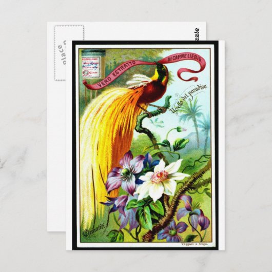 Retro Paradise Bird Postacard Briefkaart (Voorkant / Achterkant)