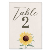 Retro Pastelkleur Daisy Wedding Kaart (Voorkant)