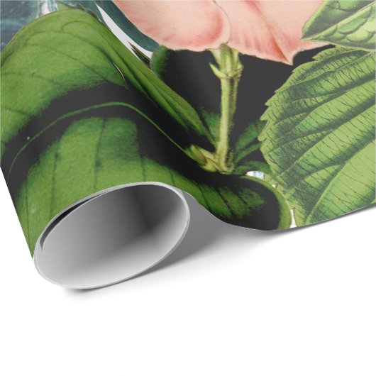 Retro Peony Flower Spring Floral Pattern Cadeaupapier (Rol Hoek)