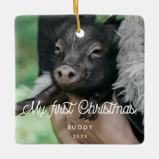 Retro Pet's eerste kerstfoto Keramisch Ornament (Voorkant)