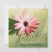 Retro Pink Daisy Flower Birthday Kaart (Voorkant)