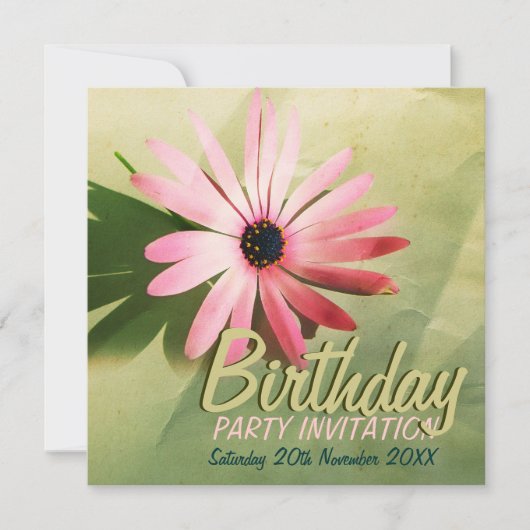 Retro Pink Daisy Flower Birthday Kaart (Voorkant)