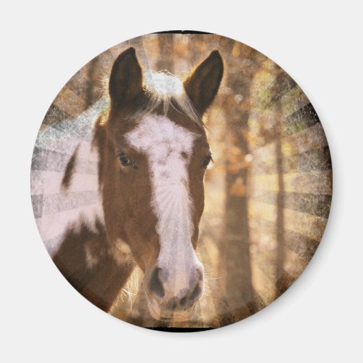 Retro Pinto Magneet (Voorkant)