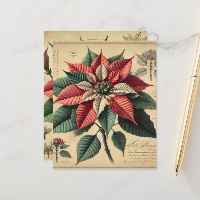 Retro Poinsettia Feestelijk Botanisch Scrapbook Pa (Voorkant / Achterkant in situ)
