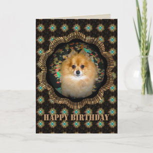 Retro Pomeranian Birthday Card Kaart