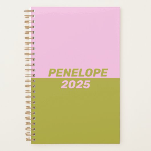 Retro Preppy roze Groene Geometrische Geometrische Planner (Voorkant)