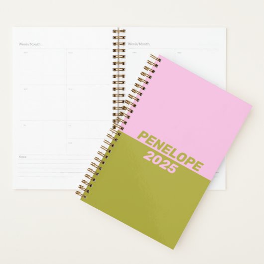 Retro Preppy roze Groene Geometrische Geometrische Planner (Display)