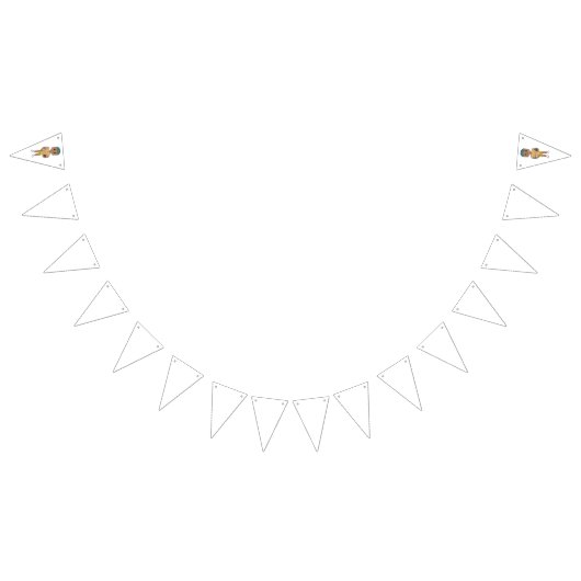  retro rainbow football player ombre vlaggetjes (Alle)