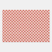 Retro Red Pomegranate Fruit Pattern Thema Inpakpapier Vel (Voorkant 3)