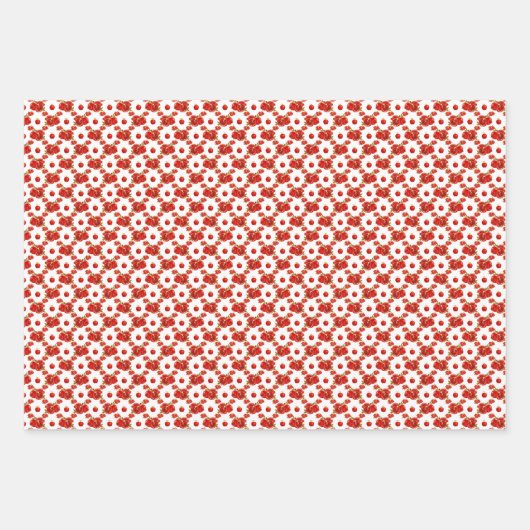Retro Red Pomegranate Fruit Pattern Thema Inpakpapier Vel (Voorkant 3)