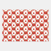 Retro Red Pomegranate Fruit Pattern Thema Inpakpapier Vel (Voorkant)
