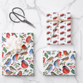 Retro Red White Robin Kerstfruit Waterverf Inpakpapier Vel