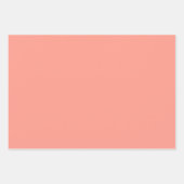 Retro Regenboog Bloemen Roze & Koraal Inpakpapier Vel (Voorkant 3)