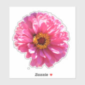 retro roze bloemenroze bloem roze Daisy zonnebloem Sticker (Vel)