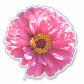 retro roze bloemenroze bloem roze Daisy zonnebloem Sticker (Voorkant)