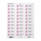 Retro Roze Groen Geruit Kerstman Kerstmis Etiket (Full Sheet)