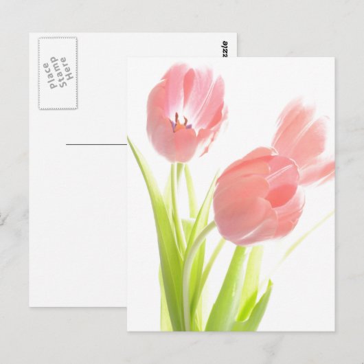 Retro Roze tulp Briefkaart (Voorkant / Achterkant)