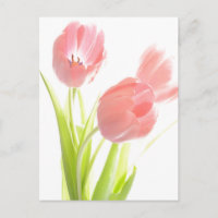 Retro Roze tulp Briefkaart