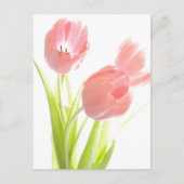 Retro Roze tulp Briefkaart (Voorkant)