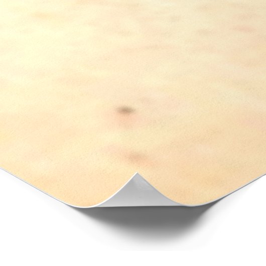 Retro Rustic Bride Groom Welkome bruiloft Poster (Hoek)