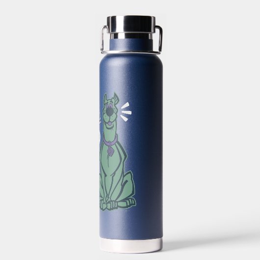 Retro Scooby "OMG" Waterfles (Achterkant)