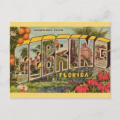 Retro Sebring Florida Ansichtkaart Briefkaart (Voorkant)