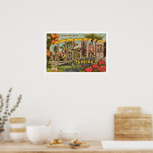 Retro Sebring Florida Briefkaart Print (Keuken)