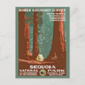 Retro Sequoia National Park Reizen Briefkaart (Voorkant)