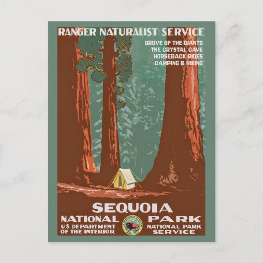 Retro Sequoia National Park Reizen Briefkaart (Voorkant)